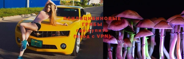 спиды Белокуриха