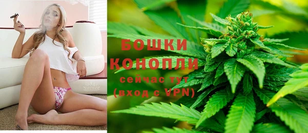 прущие грибы Баксан