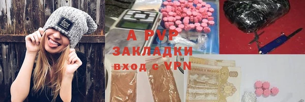 прущие грибы Баксан